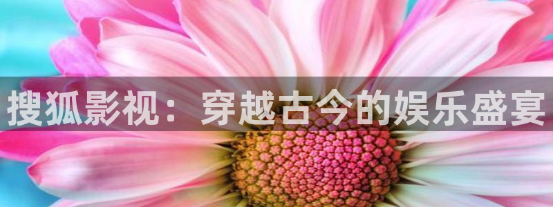 寧夏南瓜：搜狐影視：穿越古今的娛樂盛宴