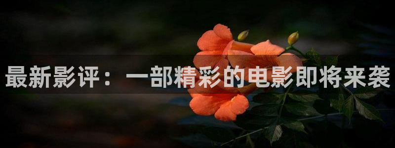 河北的南瓜：最新影評：一部精彩的電影即將來襲